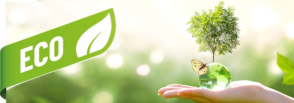 ¿Conoces nuestros productos Ecológicos?
