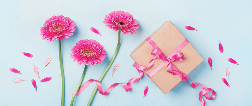 Regalos y Descuentos