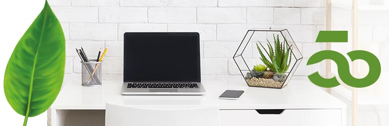 50 Productos ECO con GRANDES Descuentos
