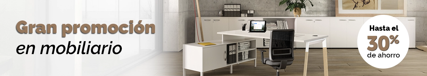 Gran promoción de mobiliario