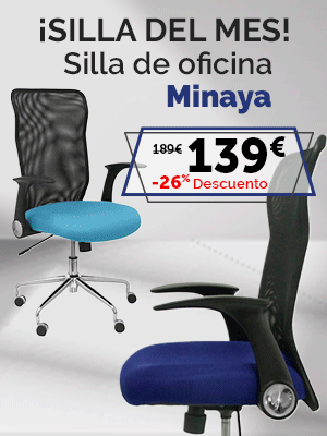 Silla del mes Minaya